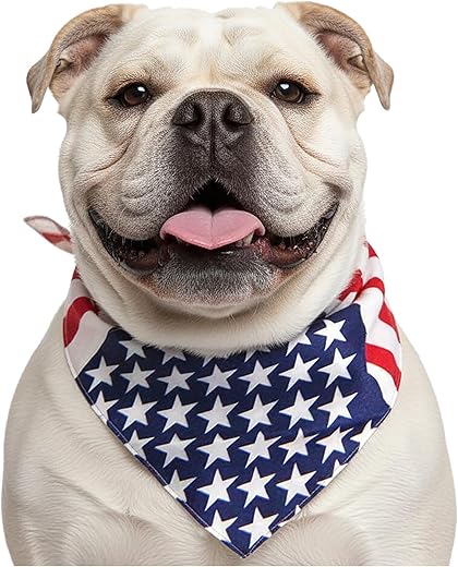 Best american flag dog bandana