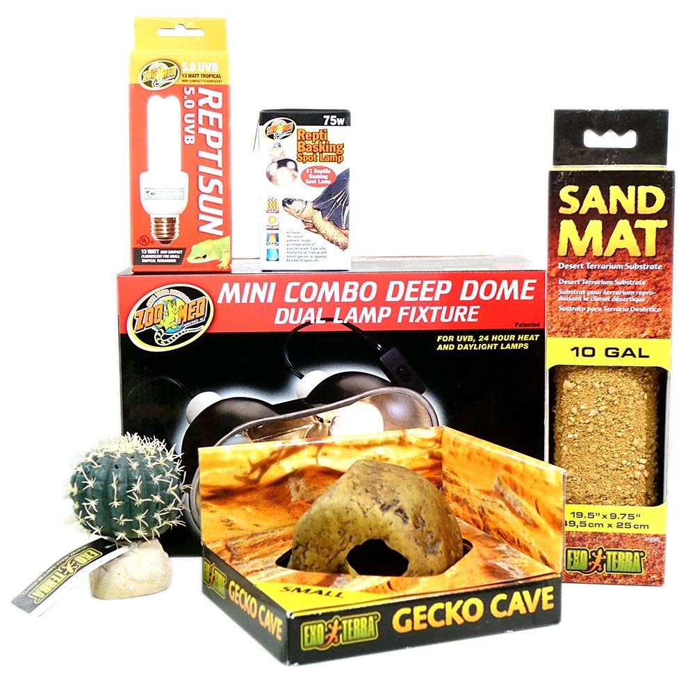 leopard gecko enclosure kit