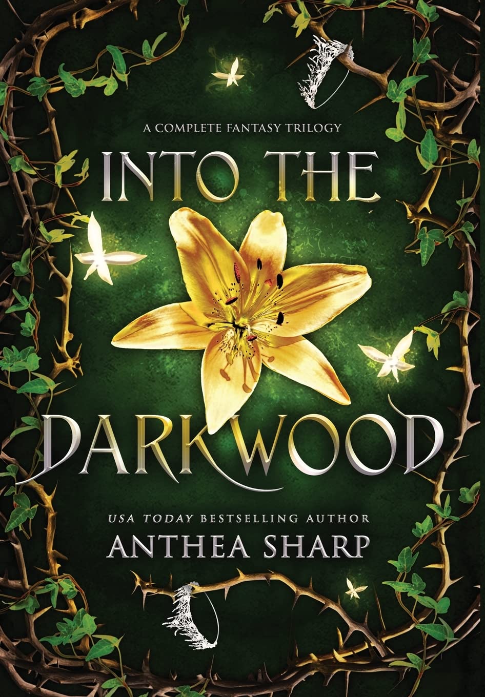 Into the Darkwood: A Complete Fantasy Trilogy (The Darkwood Chronicles)