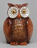 Pacific Giftware PTC 6 Inch Owl Bird Savings Piggy/Coin/Money Bank, Brown and White