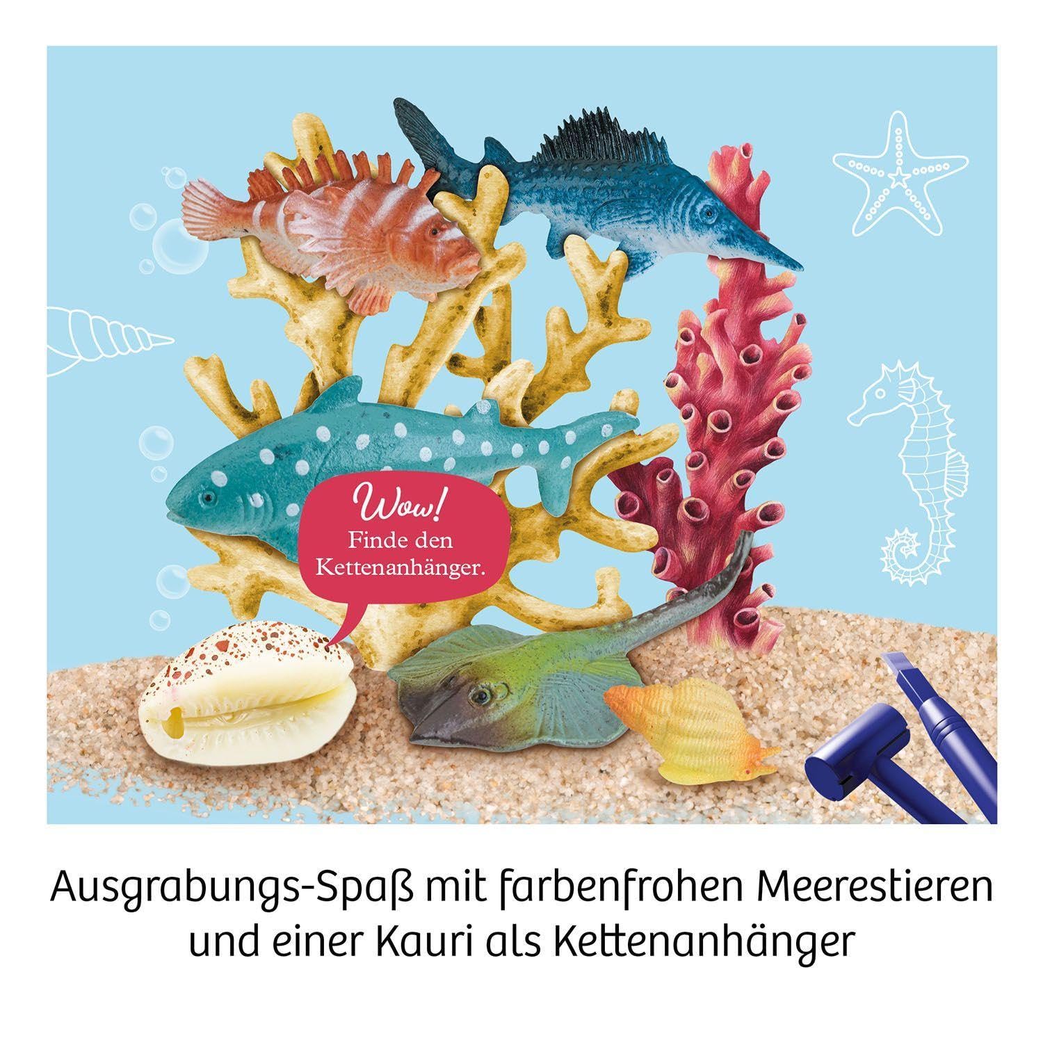 Meeres-Abenteuer: Experimentierkasten