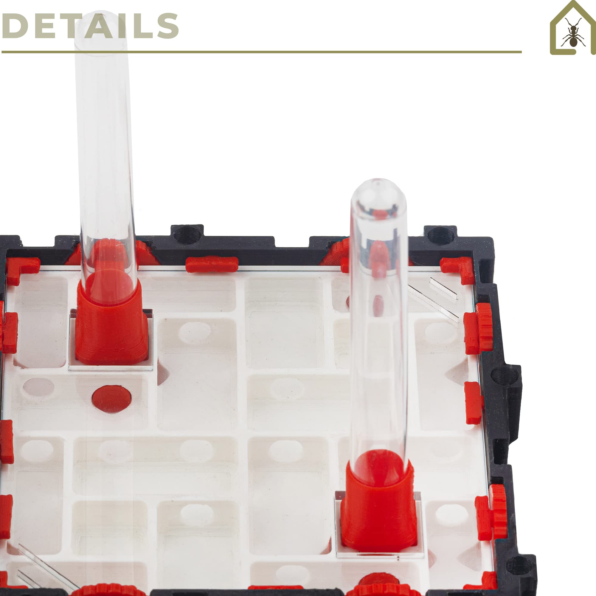 Anthouse.es - Hormigueros Modulares 3D - Modelo QBIK Quadra - Terrario Ampliable para Colonias de Hormigas - Hormiguero con Galerías Medianas - Hormiguero 3D con Sala de Forrajeo - 12,78x12,78x5 cm