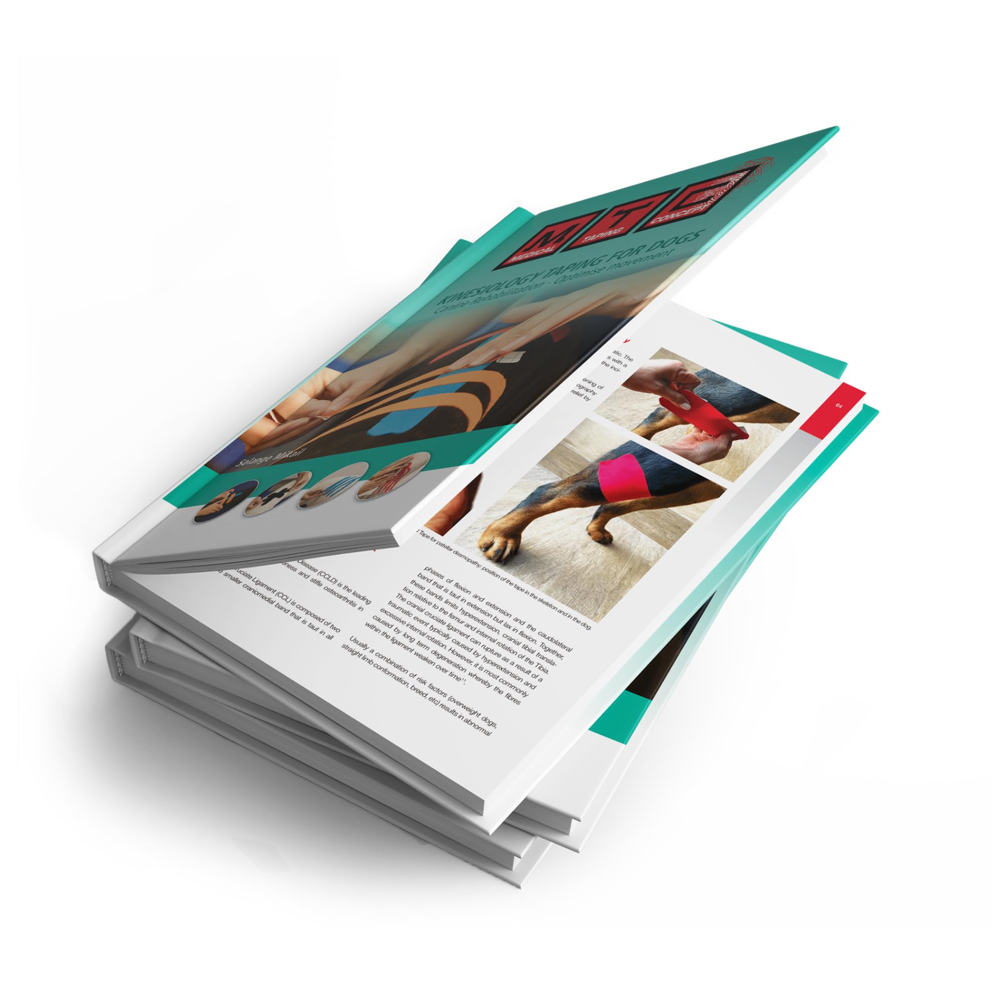 Kinesiology taping for dogs