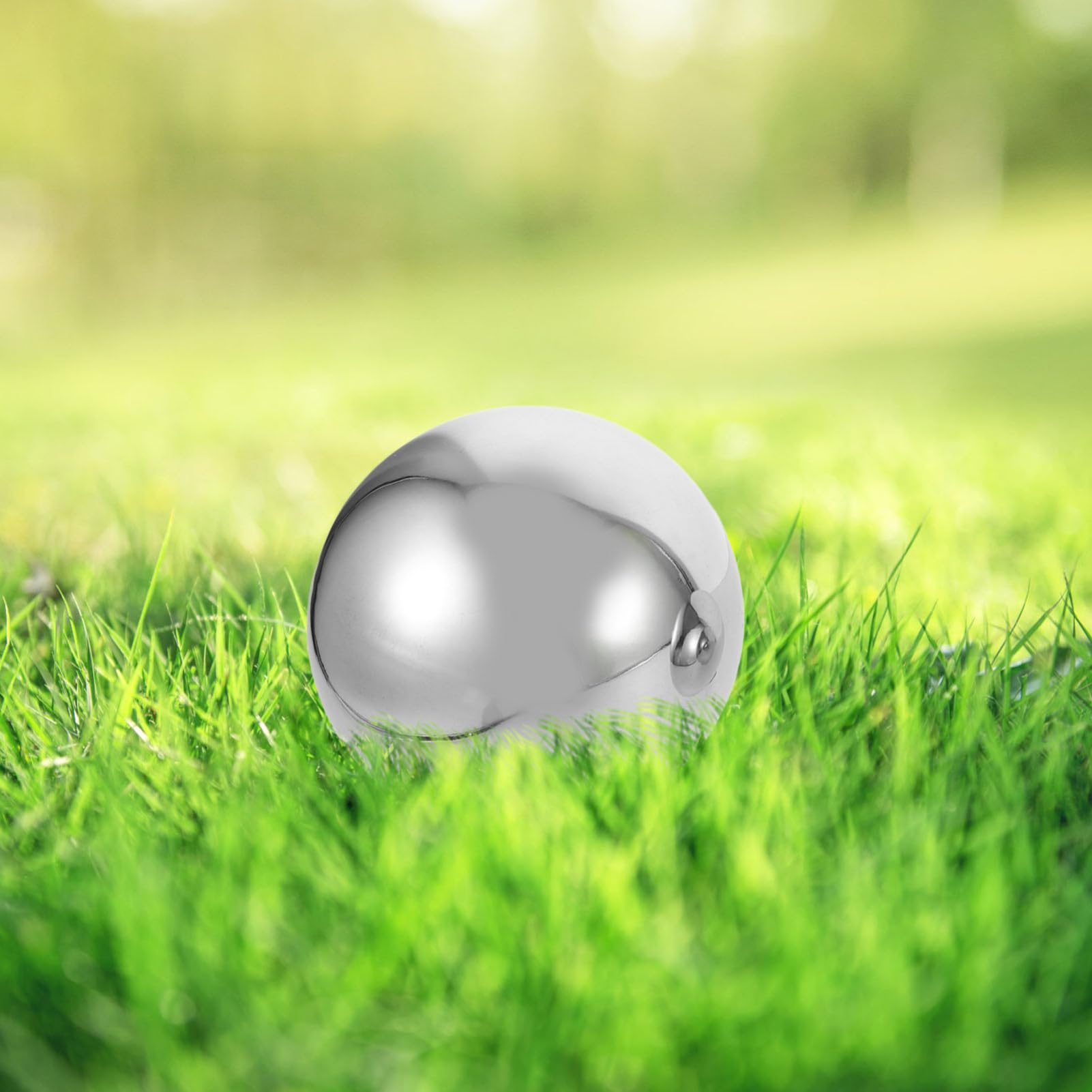 ifundom Sfere Decorative Specchiate in Acciaio Inox 6 Pezzi per Giardino