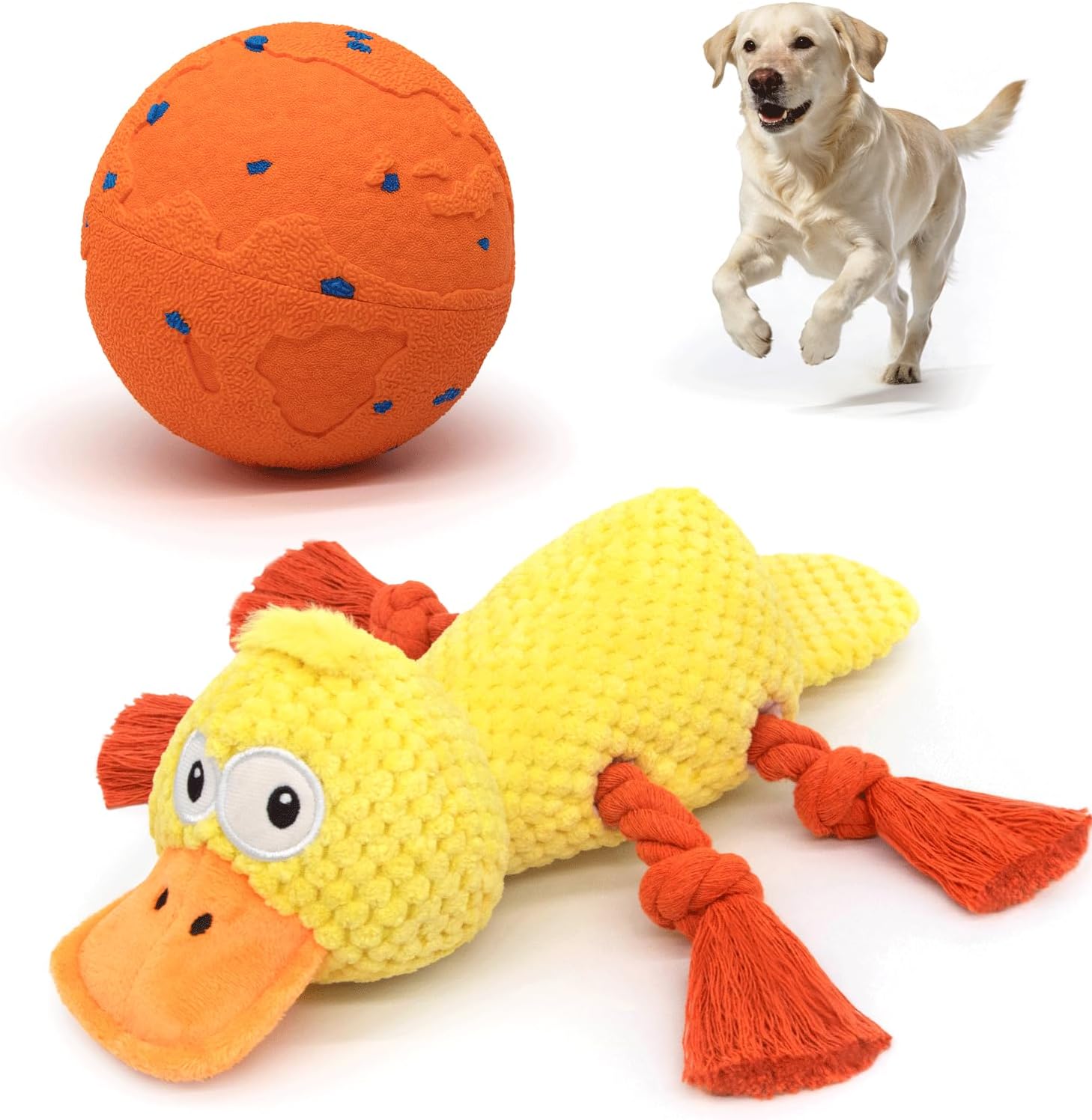 Interactive Dog Toy, Dog Chew Toy, Squeak Toys for Dogs Puppies