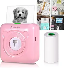 Domary Mini Pocket All-in-One Impressora Térmica Sem Fio BT Imagem Foto Etiqueta Memorando Recibo Impressora Papel AR Foto Função com Cabo USB Suporte para Android iOS Smartphone Windows