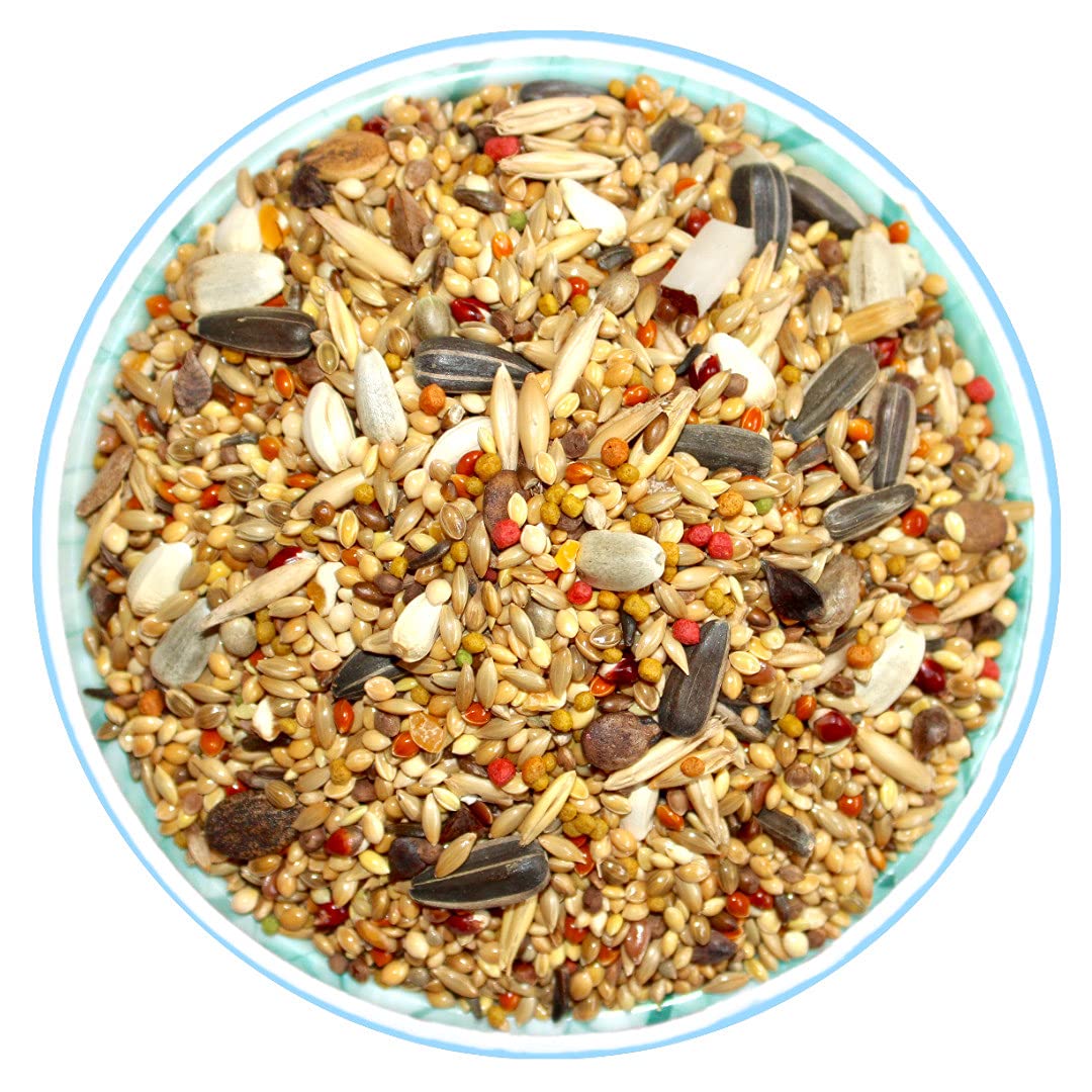 The LINE Bird Best Daily Conure, Cockatiel & Indian Parrot Mix Seed Bird Food by Ps. (3 KG + 3 KG) (B094XK2BYK) Amazon Price History, Amazon Price Tracker