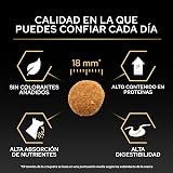 Ver la foto 6