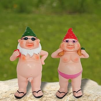 知育玩具 anemone Anemone x hybrida Fantasy™ 'Red Riding Hood' (Windflower