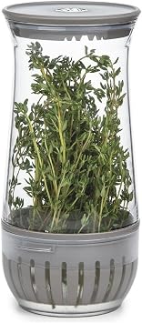 Progressive International PL8 Tritan 8 Inch Petite Fresh Herb Green Leaf Saver BPA Free