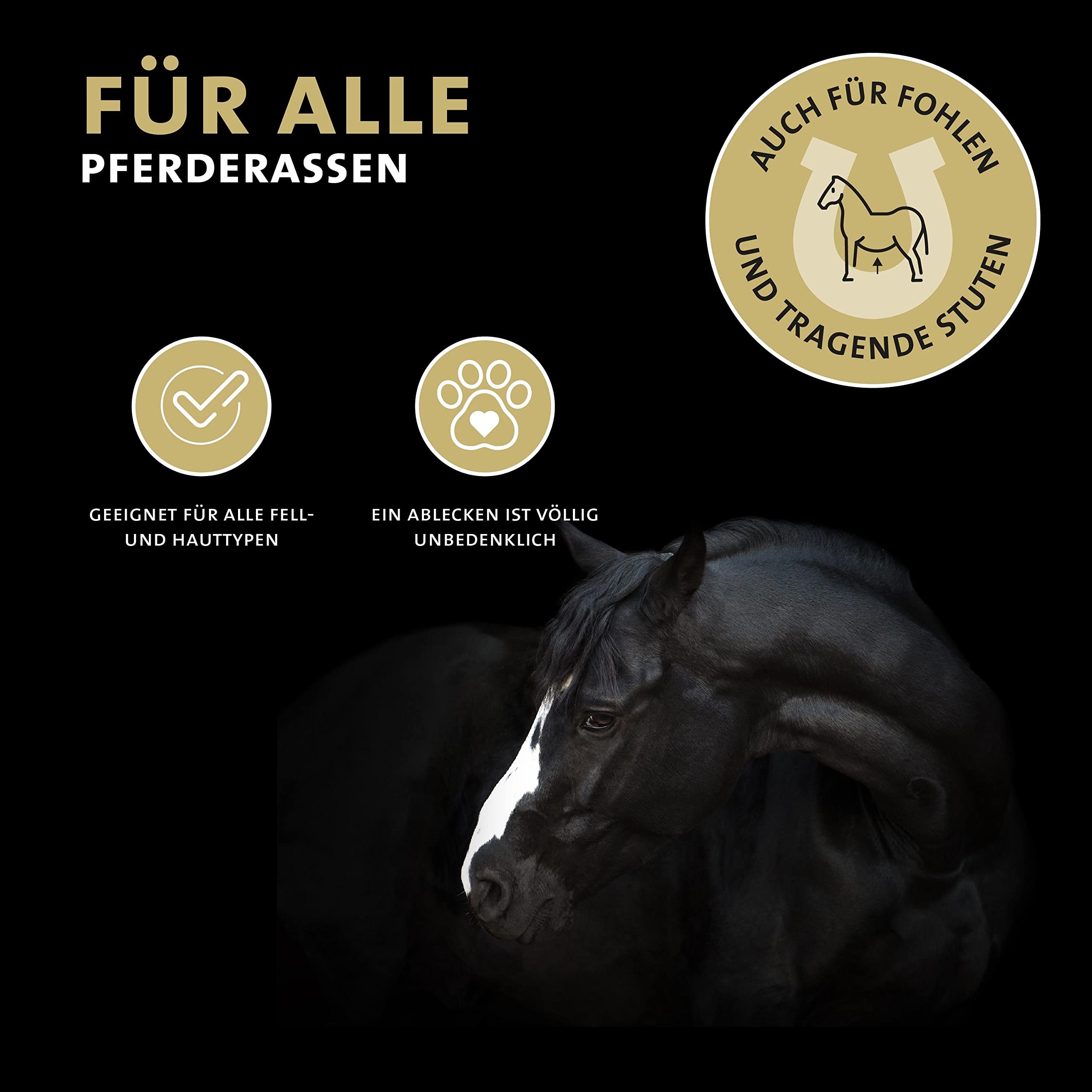 Peticare Spezial-Mittel für Pferde | bei Sommerekzem Dermatitis Ekzem | lindert effektiv Juckreiz & unterstützt Regenerationsprozess, einzigartiges PRS® System für lange Wirkung – petHorse Health 2000
