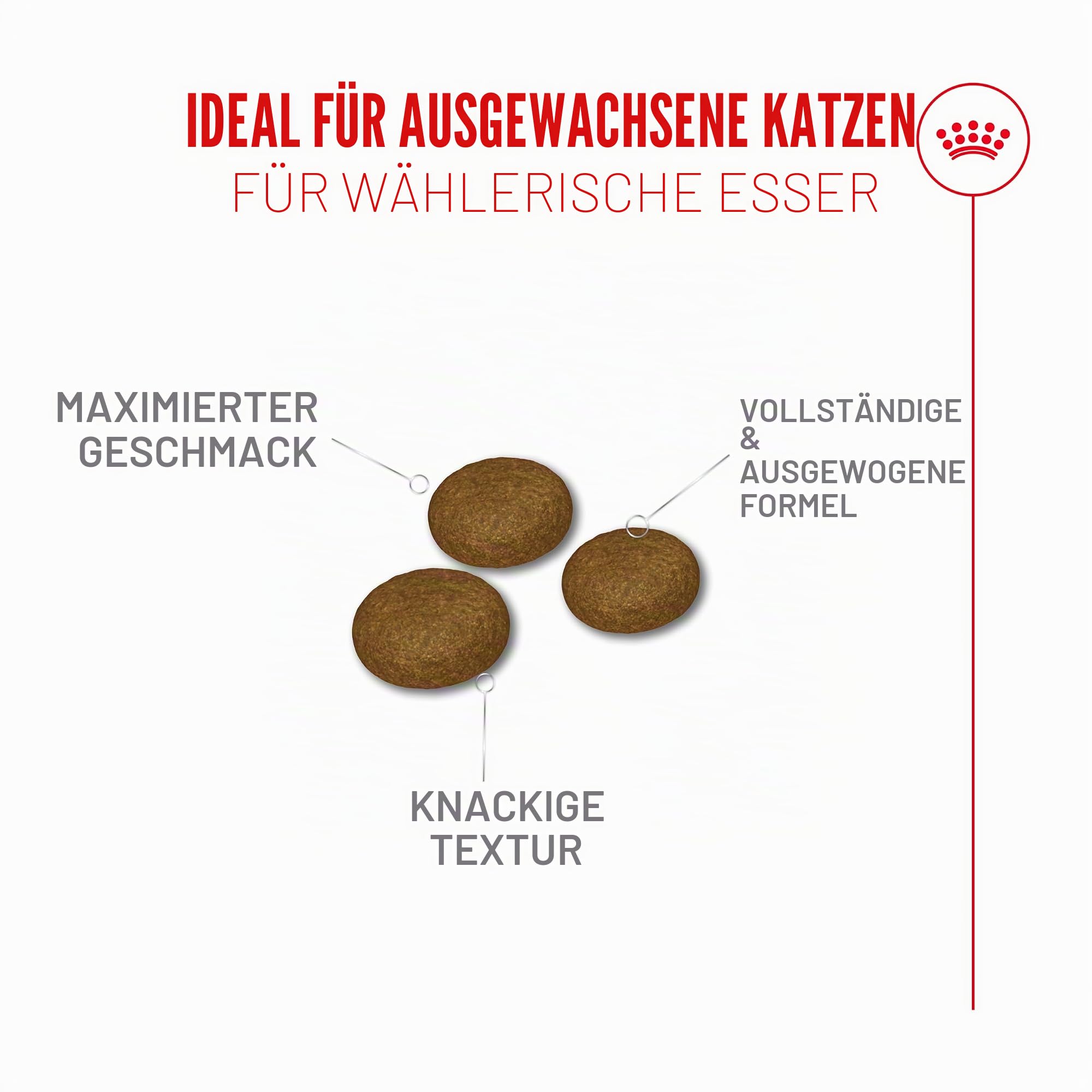 Royal Fussy Exigent Katzenfutter für Erwachsene, 1 x 10 kg