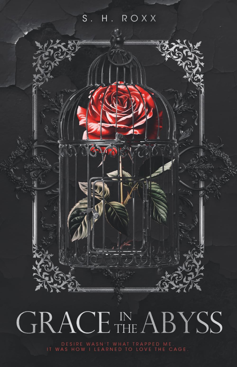 Grace In The Abyss: Dark Romance