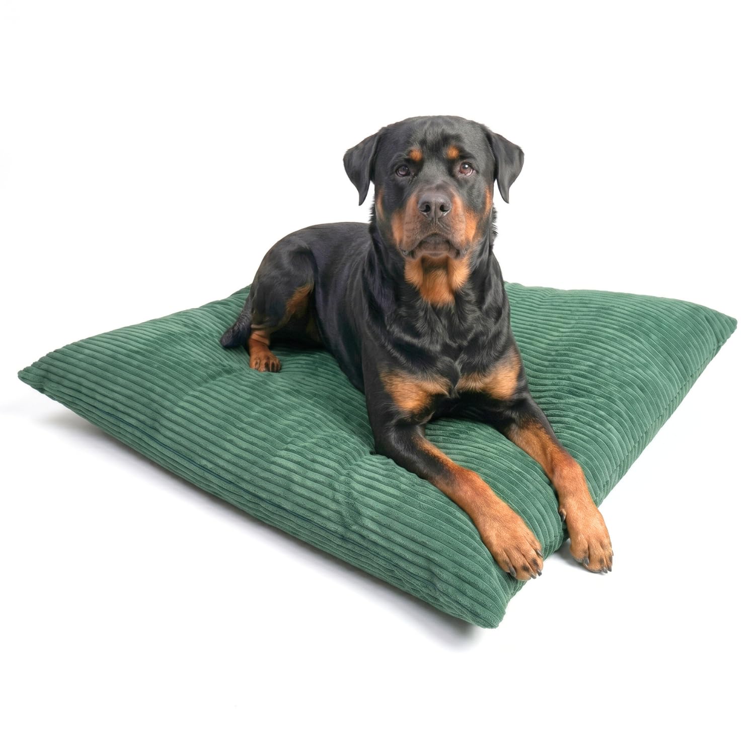 4L Textil ZOE Cojín para Perros Mullido de Pana, con Funda y Cremallera, Cómodo y Lavable (100x80 cm, Verde(Rayas)) | 100 x 80 cm | verde | funda extraíble | con cremallera | lavable a máquina