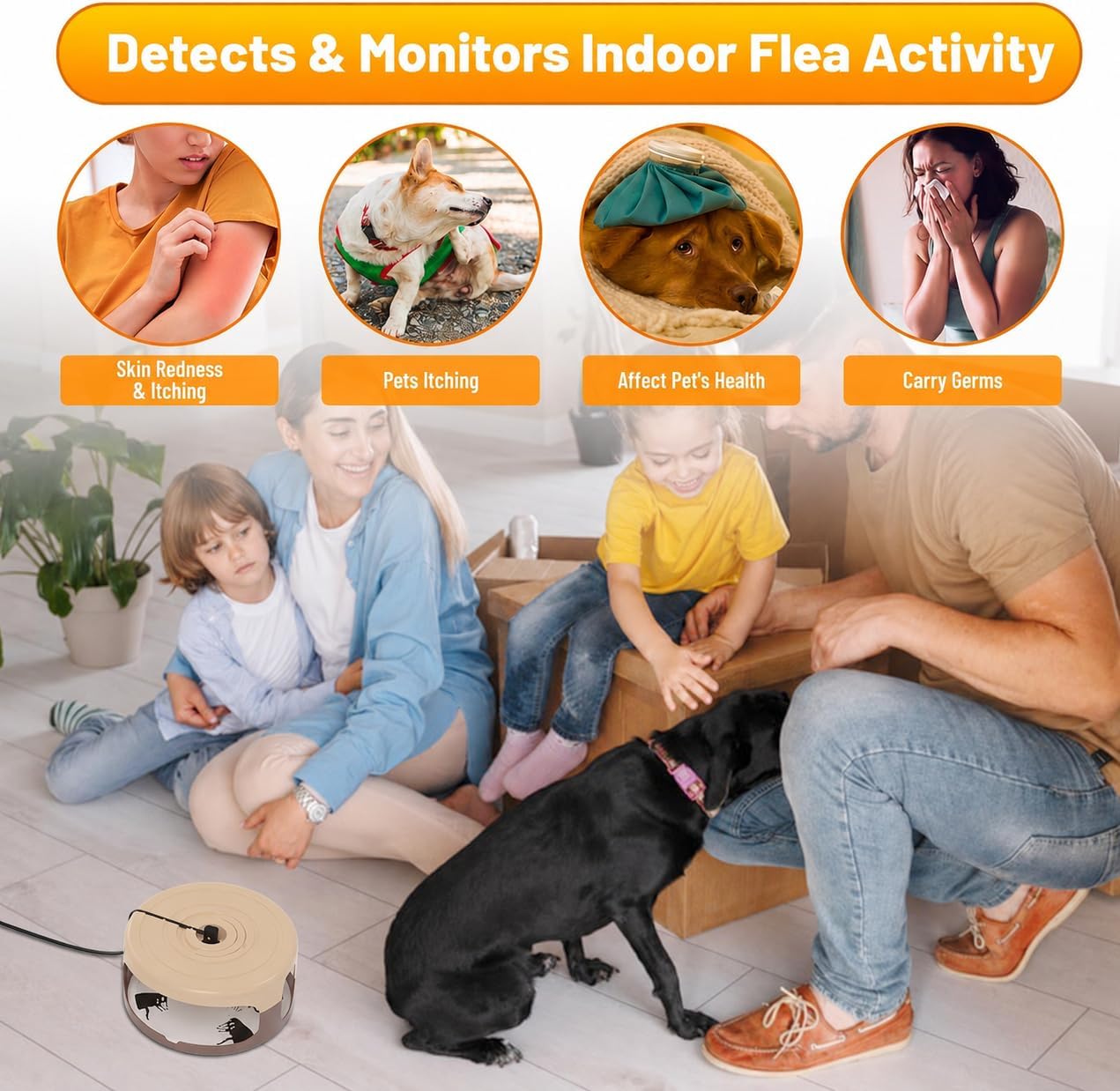 2 pack flea traps for inside your home, indoor flea traps with 8 sticky pads, flea monitoring trap for home, sticky insect catcher for fleas, moths & gnats coffee brown