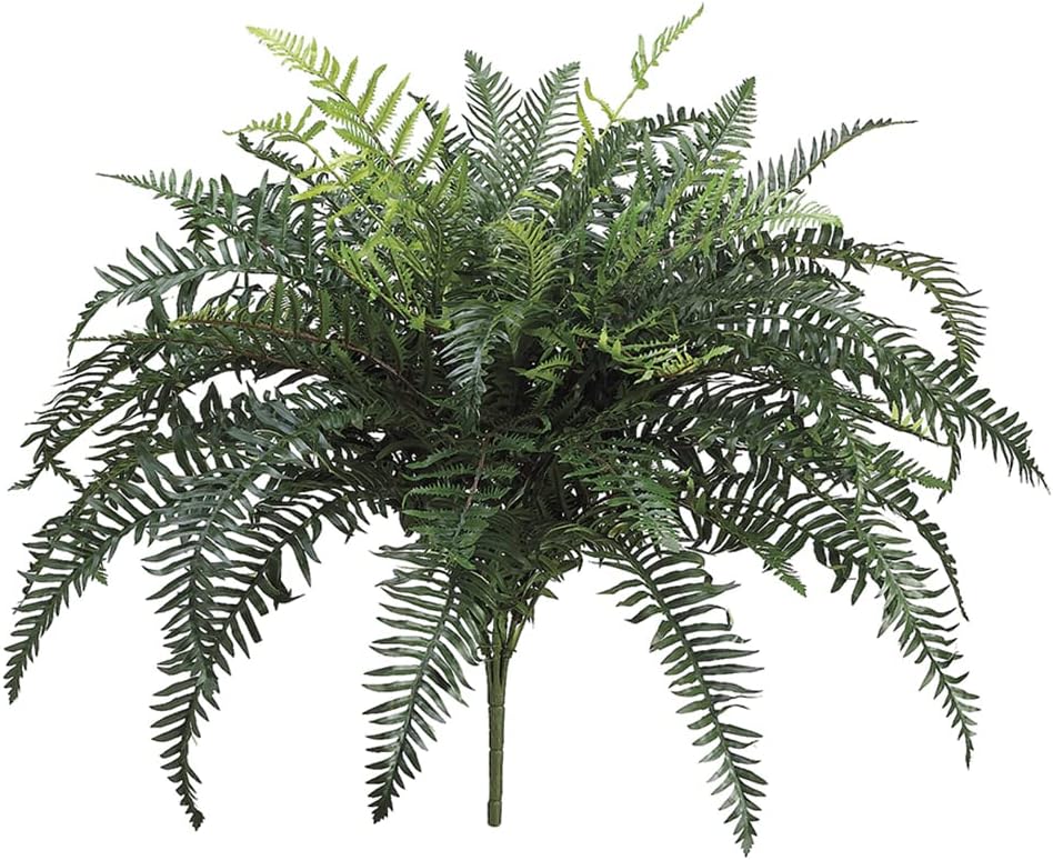 32" River Fern Bush x55 (Pack of 4)
