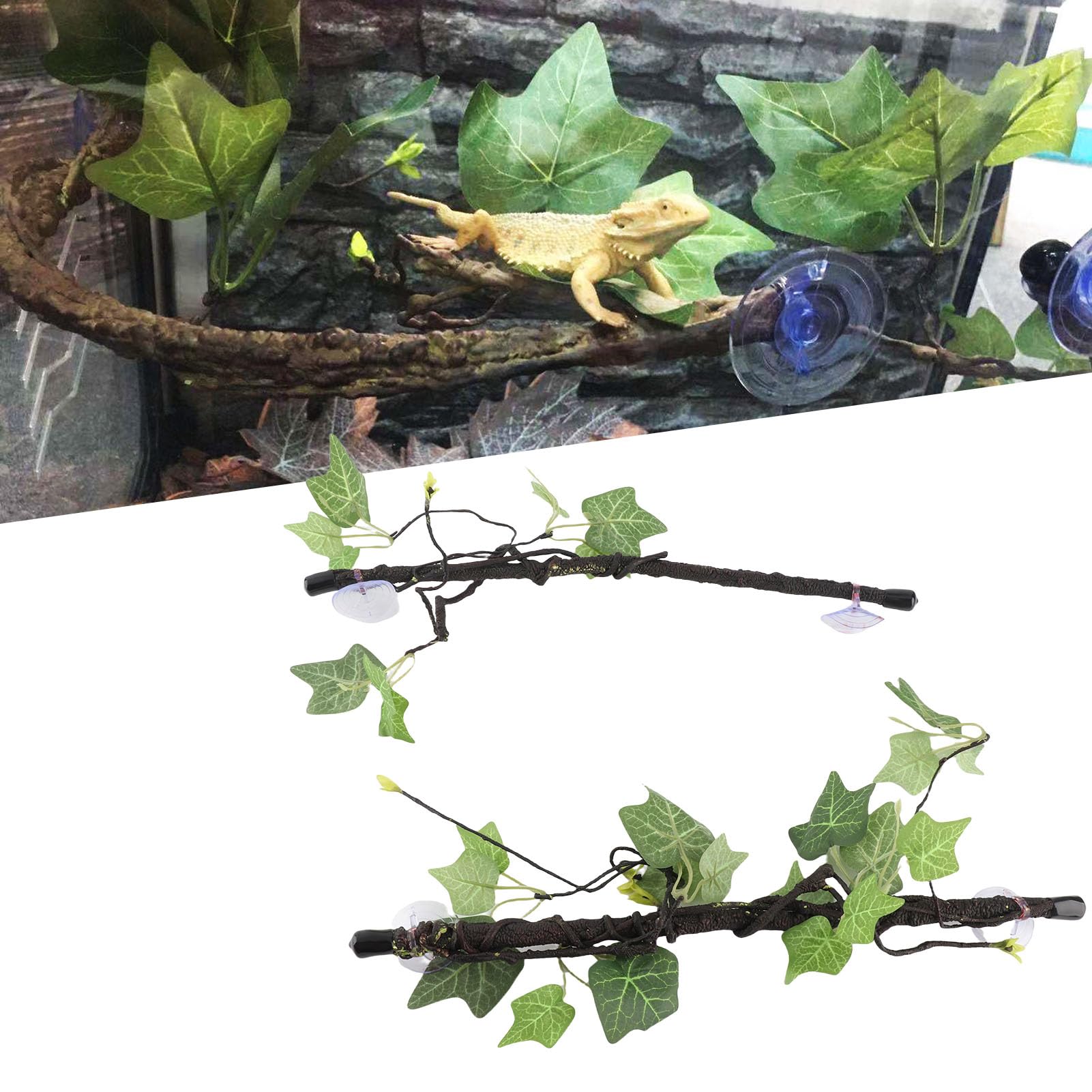View 5