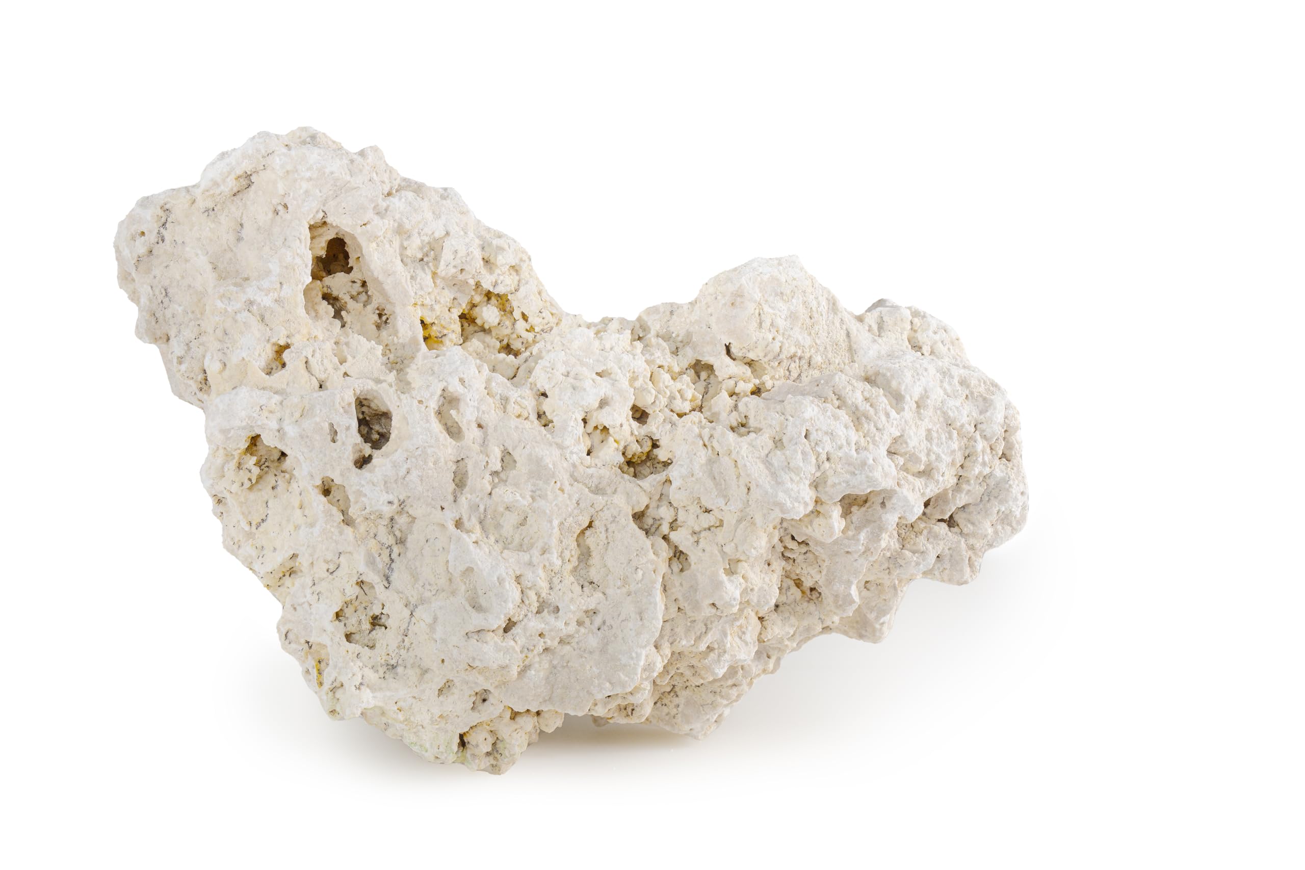 ARKA myREEF-Rocks 20kg - Roches Naturelles pour Aquariums Marins, constructions Authentiques, sans polluants, Surface optimale pour colonisation bactérienne
