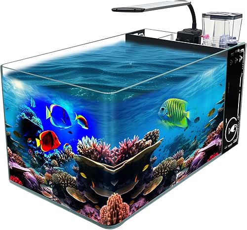 10-Gallon Curved Corner Saltwater Aquarium Rimless Low Iron Aquarium Marine