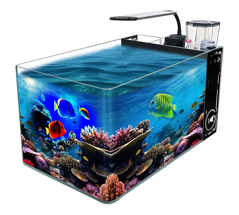 Amazon.com: GankPike 10 加侖(約3.5 公升)弧形角落鹹水水族館無