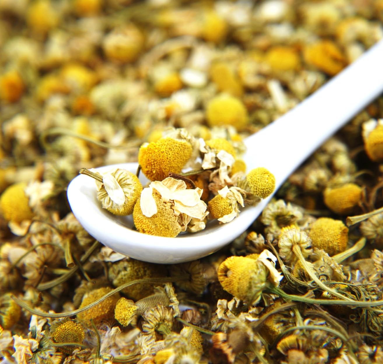 1kg Fleurs de Camomille - Infusion de Camomille - Matricaria Chamomilla - Arôme & Goût Intense - 100% Naturel, Pur et Sans Additifs | Qualité Supérieure - TazarinLtd