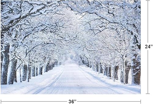 Miniatura 4 de Póster de invierno para decoración de pared, 36 x 24 pulgadas