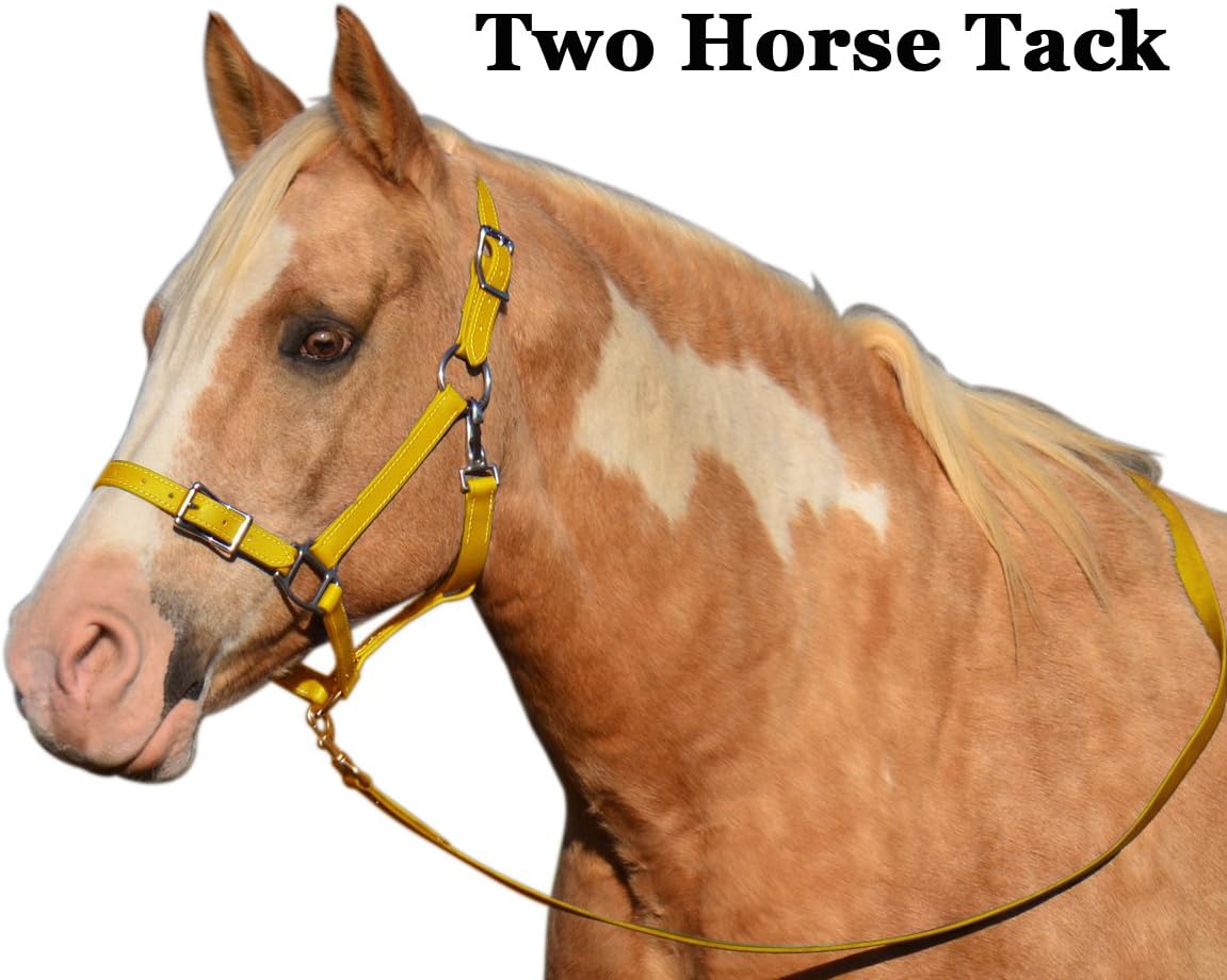 Buckle Nose Safety Halter & Lead Made From Beta Biothane - Yellow Color - Warmblood/tb Size