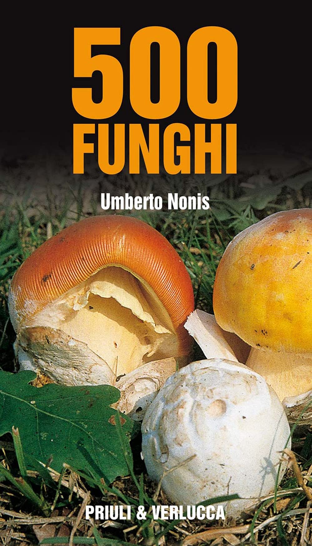 500 Funghi - 4