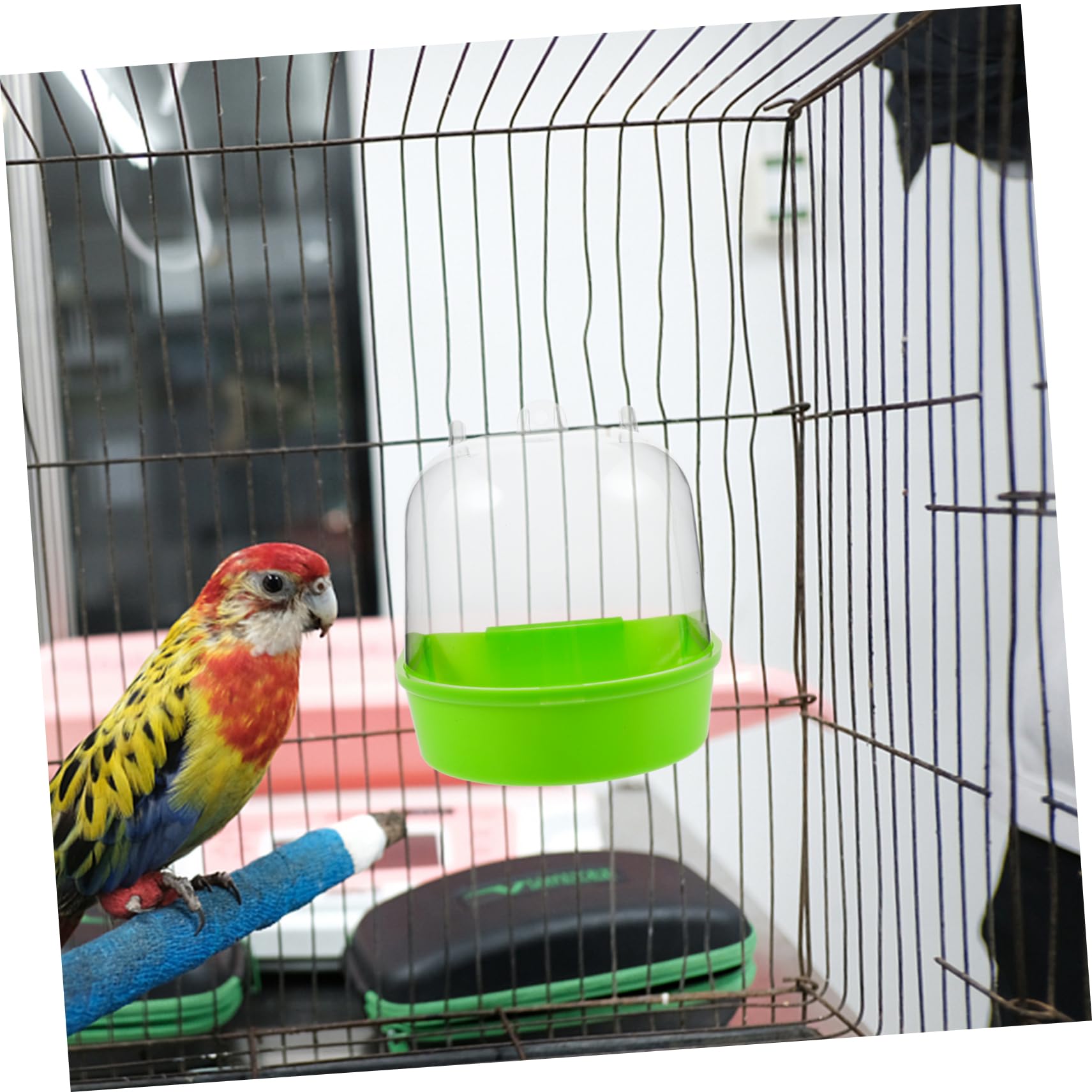 POPETPOP 4pezzi da per Uccelli Box da Appendere per Pappagalli Accessori per La Uccelli per Bagni Regolari e Sicuro e Colore