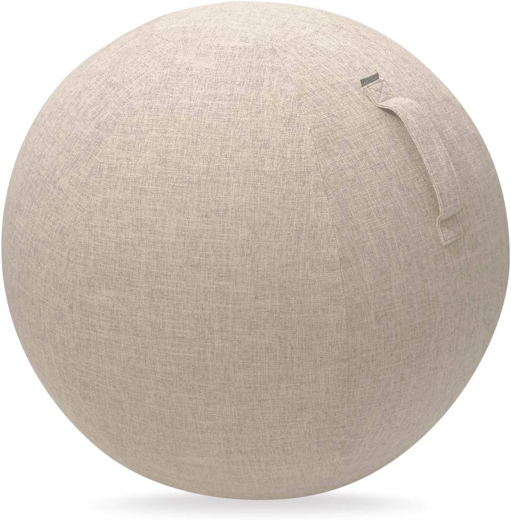 Elecom Balance Ball Cover