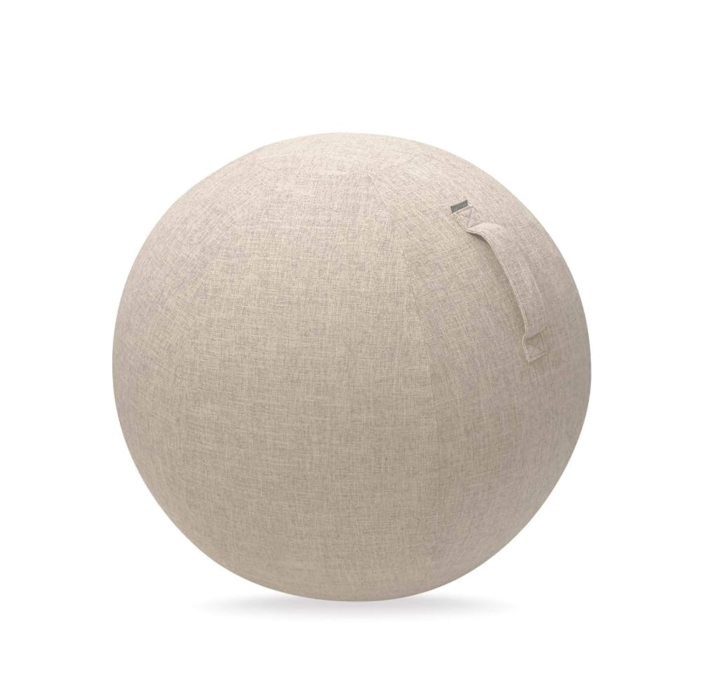 Amazon | エレコム バランスボール カバー 65cm 持ち運びに便利
