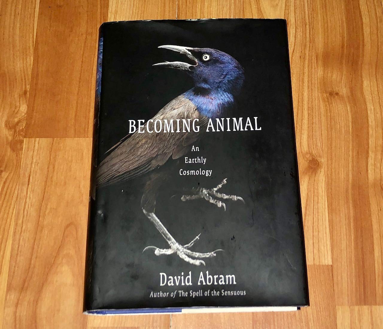 Buy Becoming Animal: An Earthly Cosmology — BookShops.in