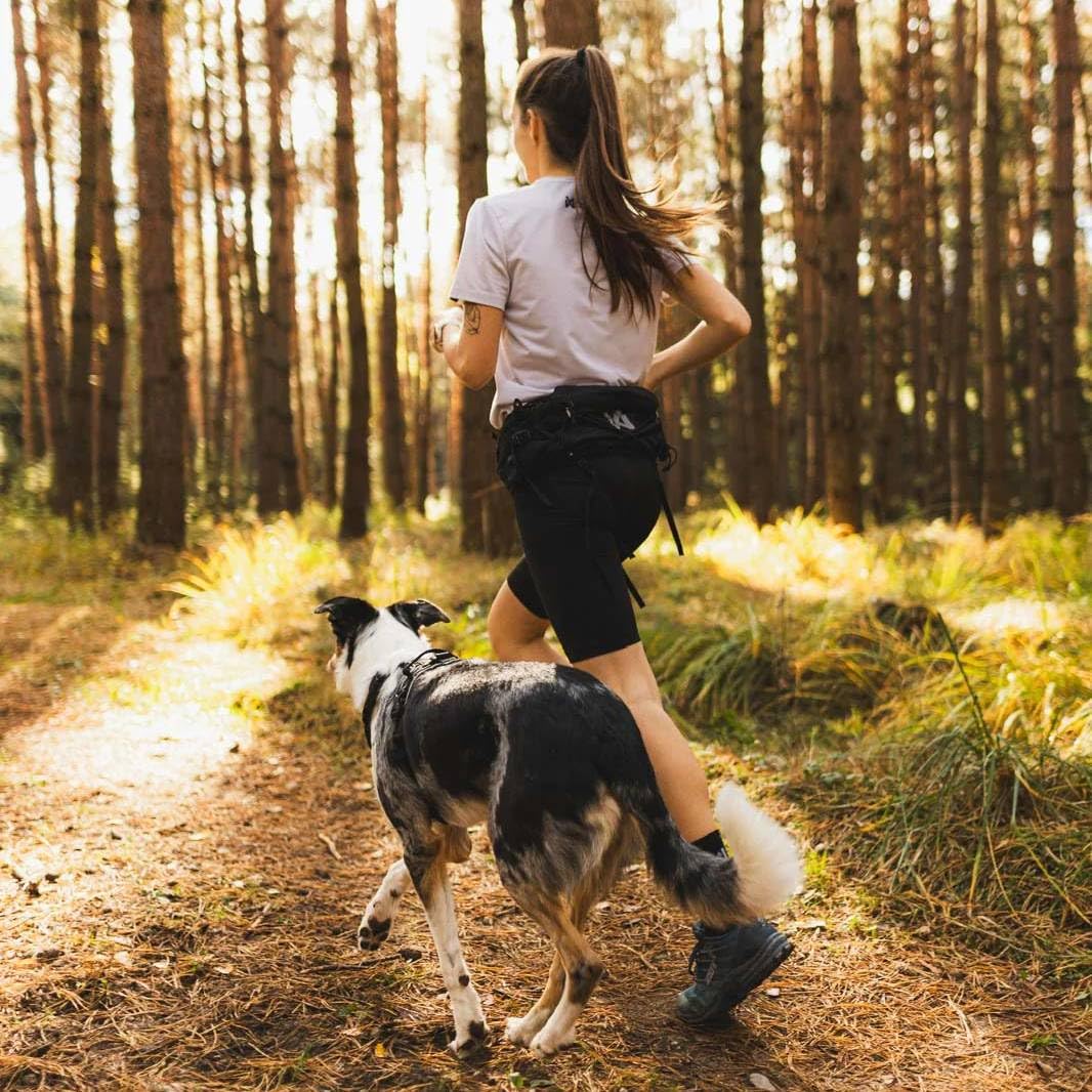 Non-Stop Dogwear Cinturón de luz de sendero, negro - M