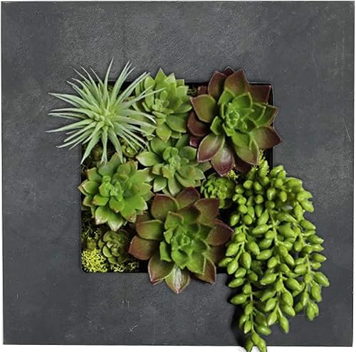 Vista 96 de Vandue Modern Home Living - Maceta suculenta de acero galvanizado de acero galvanizado (zinc envejecido, 16 bolsillos)