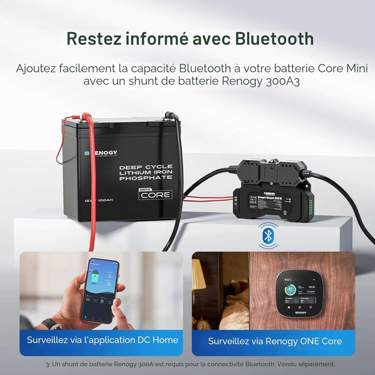 Renogy 12V 100Ah Core Mini LiFePO4 Batterie Lithium-Fer-Phosphate, BMS Amélioré 100A, 5000 Cycles, Fonction de Protection Antigel, Batterie Lithium pour Camping-Car, Système Solaire, Caravane, Bateau