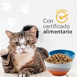 Ver la foto 6