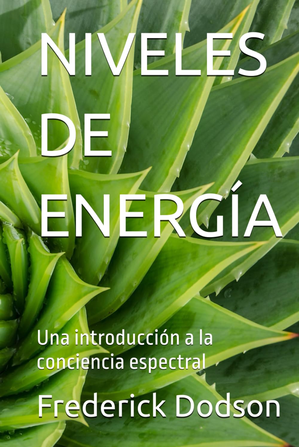NIVELES DE ENERGÍA: Una introducción a la conciencia espectral