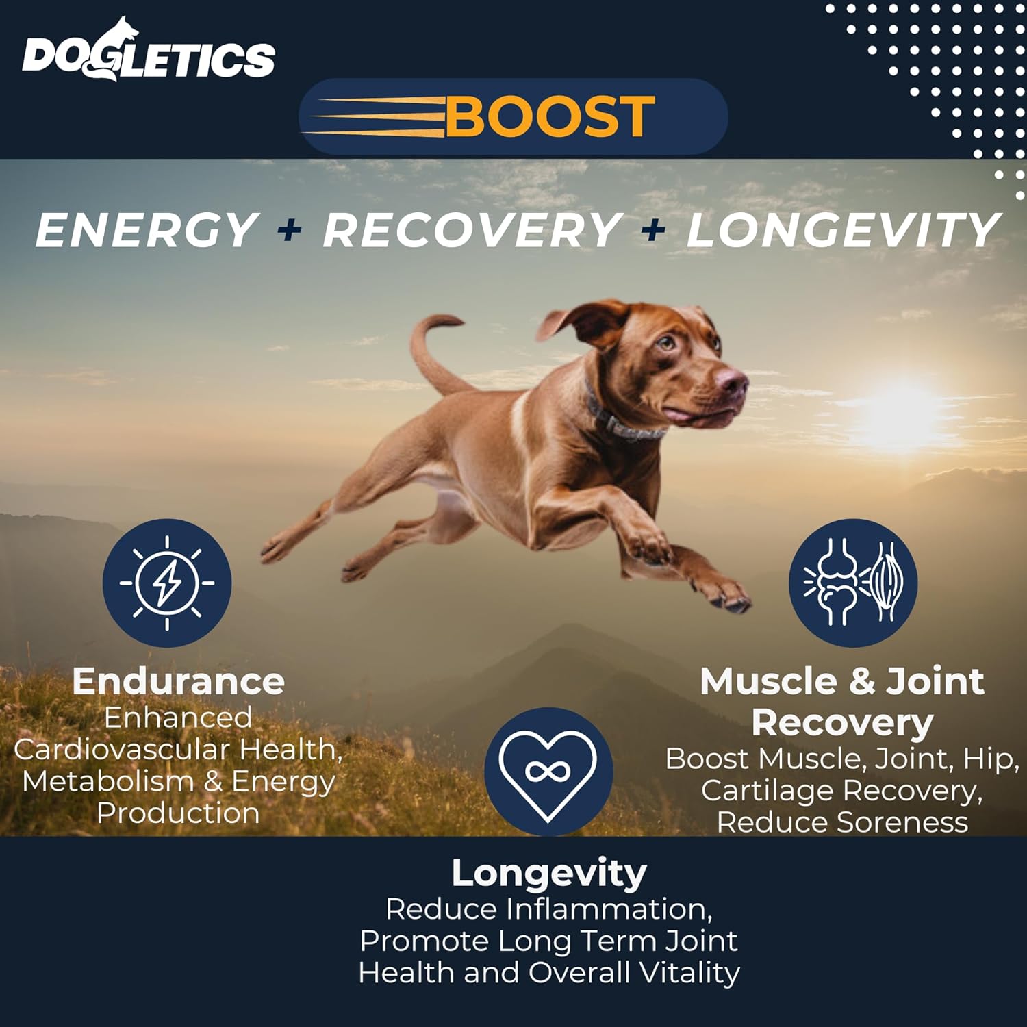 Boost Active Dog Support: Improve Energy, Endurance, Recovery & Longevity- 90ct USA Made with Real Bacon