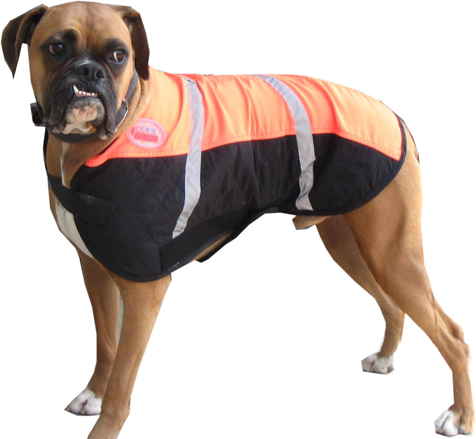 Cool Medics M4500 Canine Coat, 3X-Large, Orange/Black
