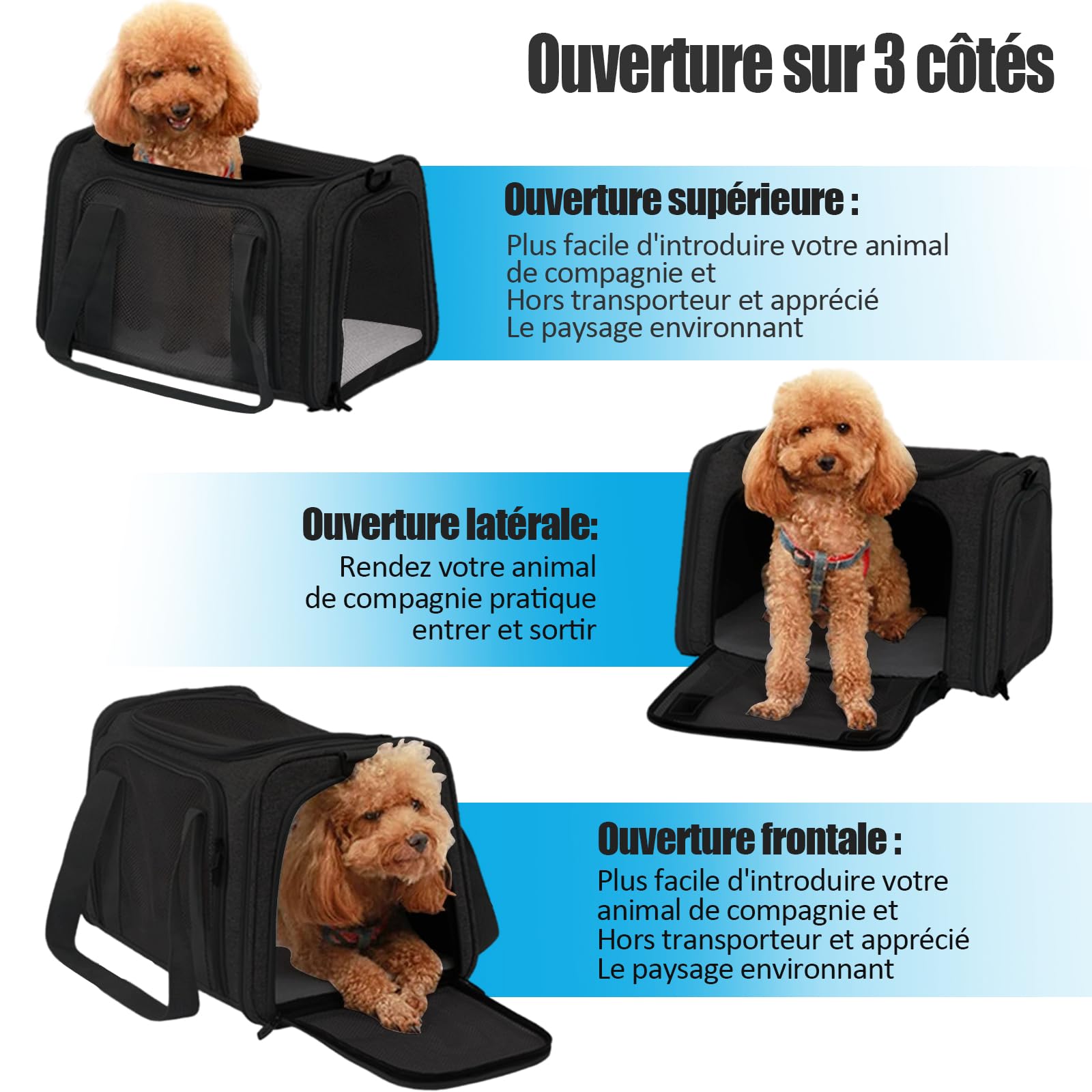 Sac de Transport Chat, avec Matelas Souple, Bandoulière Réglable, Design Pliable et Portable, Tissu en Maille pour la Ventilation, pour Chats et Chiots (Noir, L43 ×I 28 ×H 28 cm)