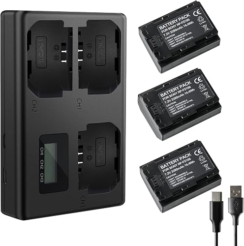 AXFEE NP-FZ100 Batterie et Chargeur à Trois Slot, NP-FZ10…