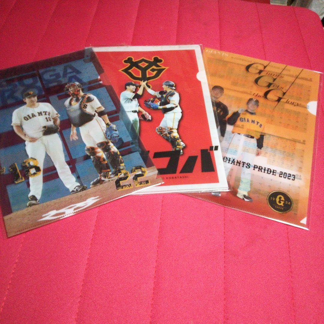 Seiji Kobayashi Clear File 3 Piece