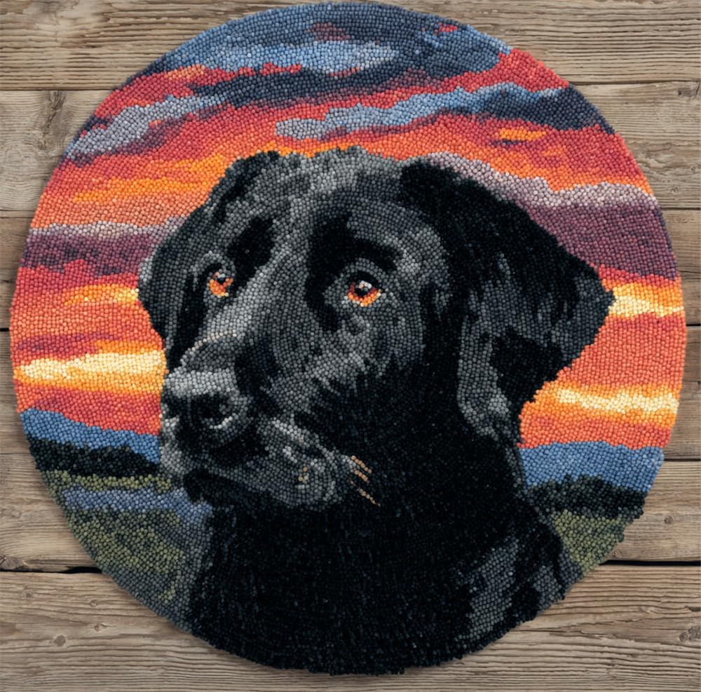 kitphoenix Round DIY Latch Hook Rug Kits Black Labrador 20X20Inch (50X50Cm) Easy for Beginners Round Carpet Crochet Yarn Craft Large Rug Hook and Latch Tapestry for Home Decor