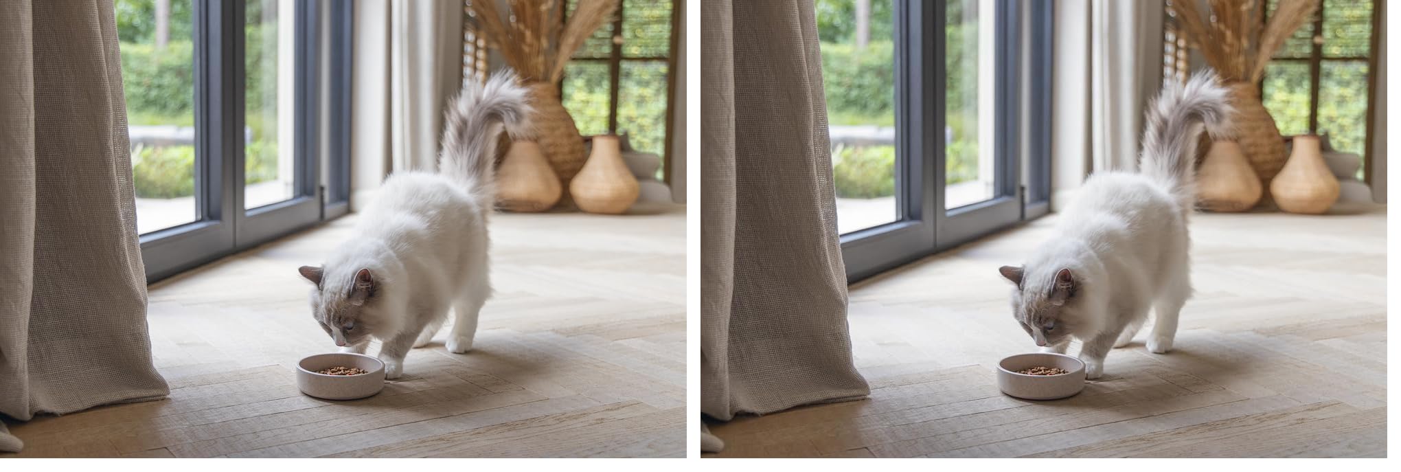 Beeztees DBL Kedi Mama Su Kabı, Bambu, Bej 12cm, 250ml (2 paketi)