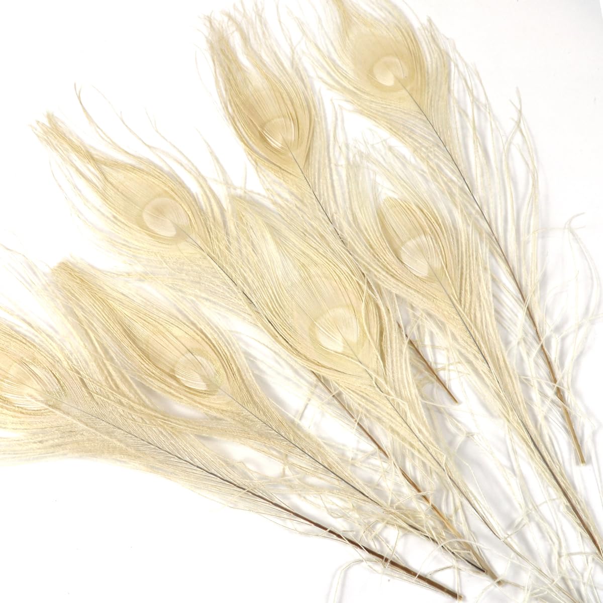 12PCS White Peacock Eye Feathers10-12 inch(25-30 cm) for DIY Craft, Wedding Holiday Christmas Decoration — image 1