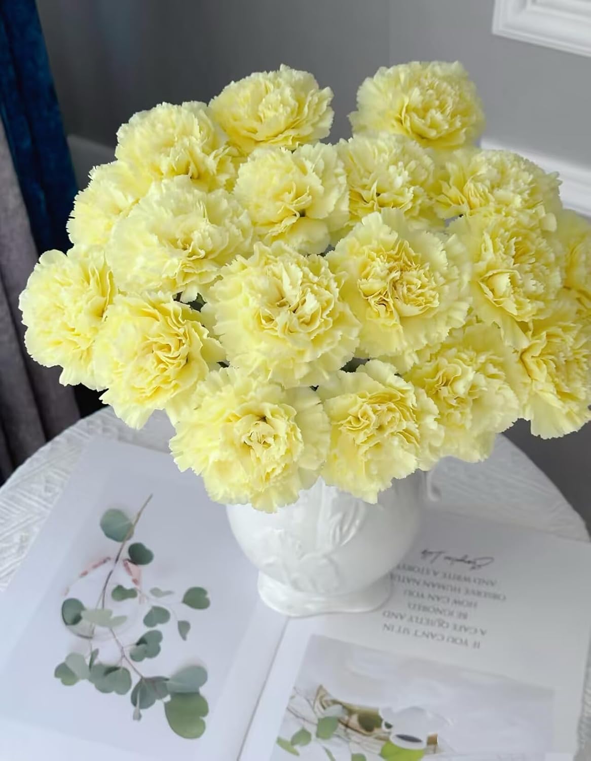 Fresh Carnation Flowers Bouquet 40 Stems Colorful Carnations Fresh Cut Flowers for Home Decor Wedding Mothers Day Gift (Yellow)