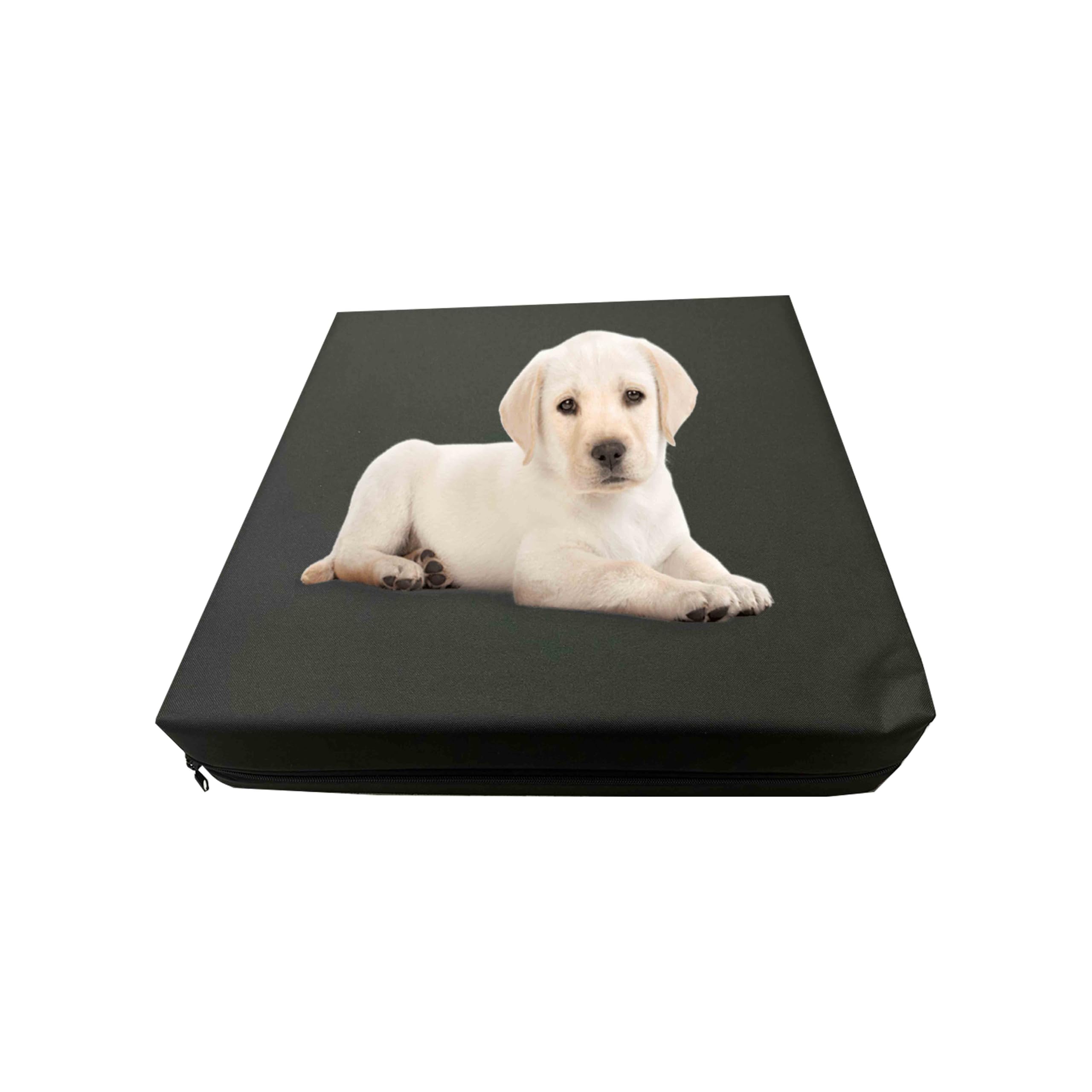GRIZZLY FOAM Waterproof Dog Bed Cushion and Mattress for Indoor and Outdoor Use with Washable & Removable Zipped Cover and Custom (Black, 122x78x5cm)
