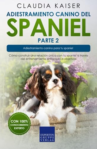Adiestramiento canino del spaniel parte 2: Cómo construir una relación única con tu spaniel a través del entrenamiento enfocado a objetivos.