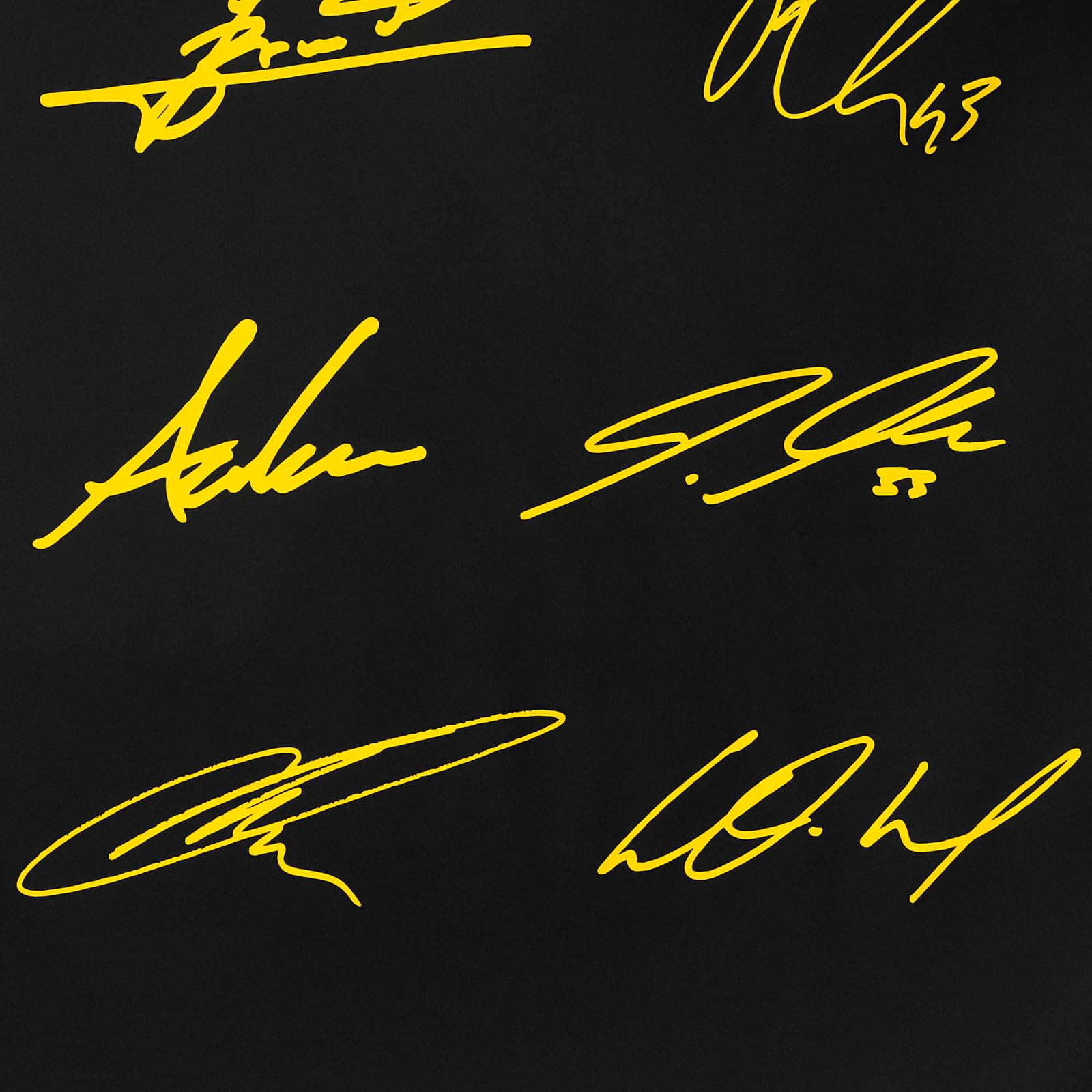 Borussia Dortmund BVB pościel z podpisami 2024/25, czarna, 135 x 200 cm z zamkiem błyskawicznym, podwójna konstrukcja