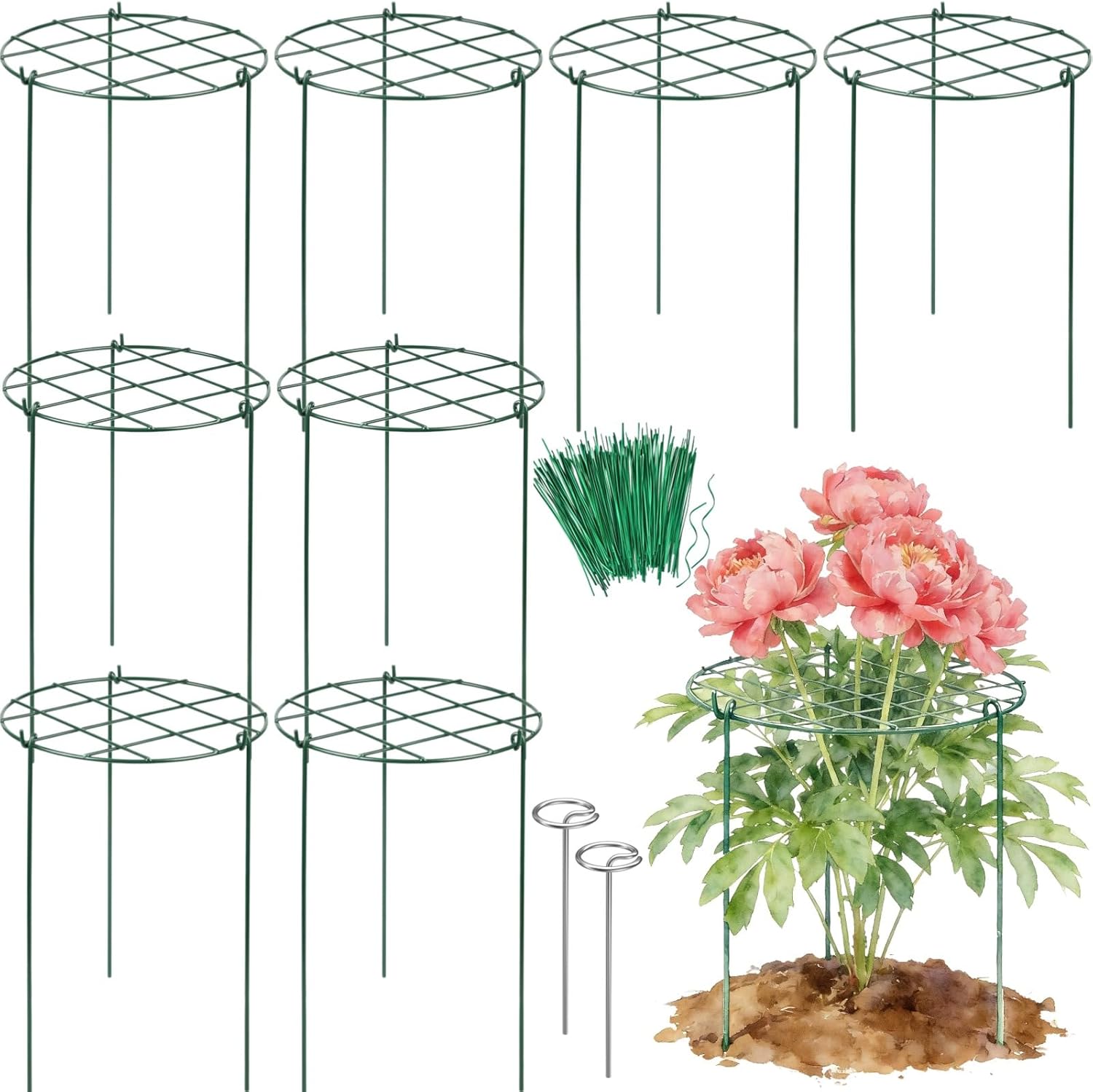 8 Pack Peony Cages and Supports - Grow Through Plant Support for Outdoor Plants - Sturdy Metal Support Frame for Peonies, Roses Flower Garden Cage - Wide Top Rings Bouquet Shape 12" D x 16" H